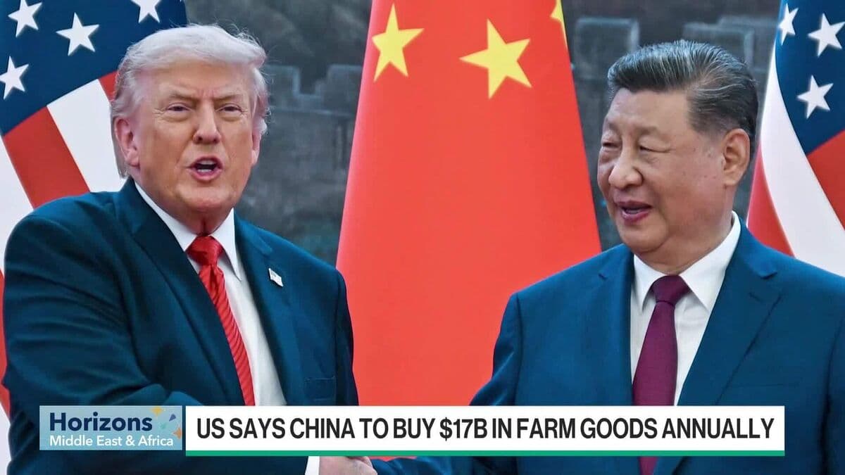China to Purchase $17 Billion in US Agricultural Products Annually Through 2028