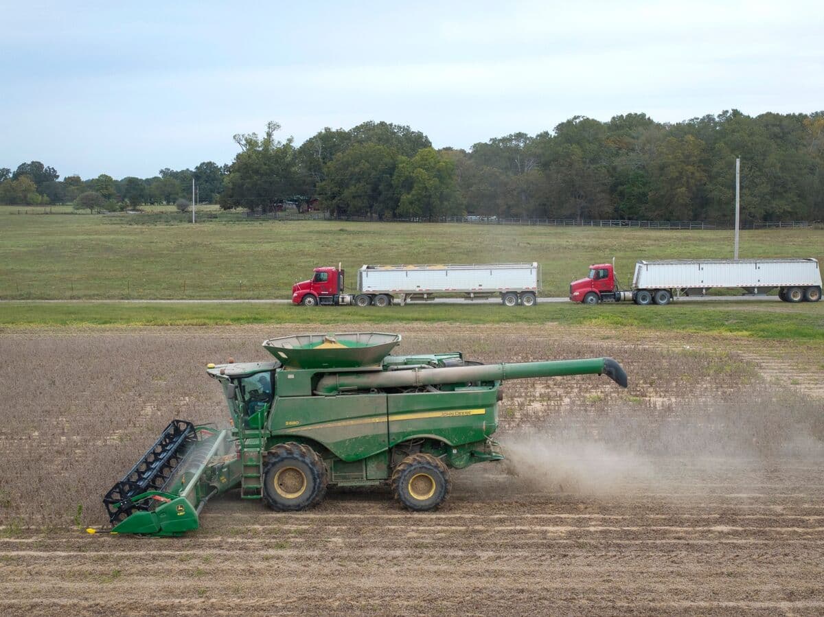 US Soybean Farmers Seek Assurances from China as Planting Season Progresses