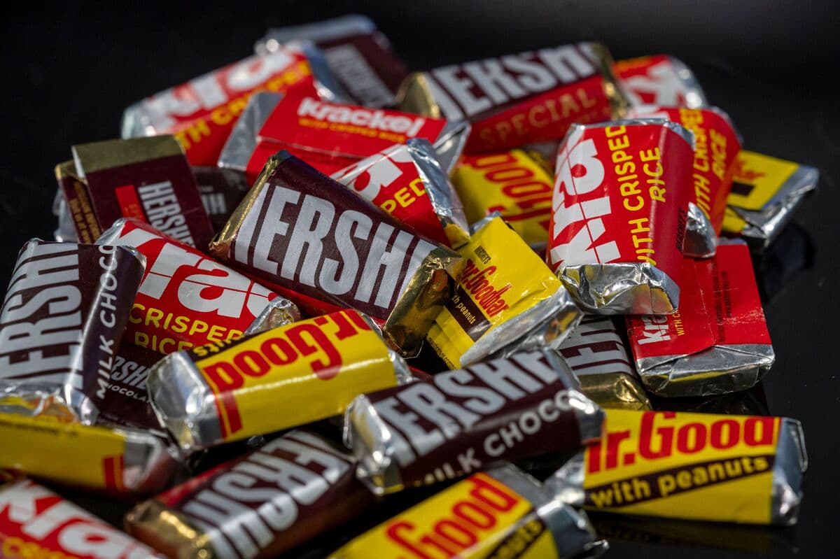 Hershey Bull Predicts Sales Boost from World Cup and America's 250th Anniversary