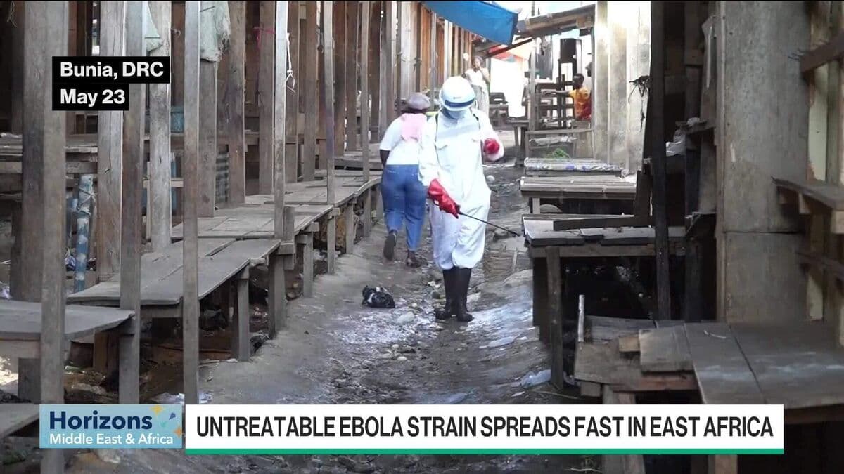 Rapid Spread of Ebola Bundibugyo Strain Raises Global Health Concerns