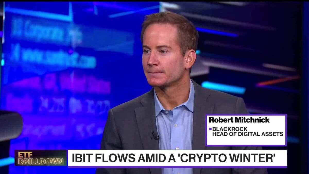 Expect Crypto Rally After Recent Selloff: Mitchnick
