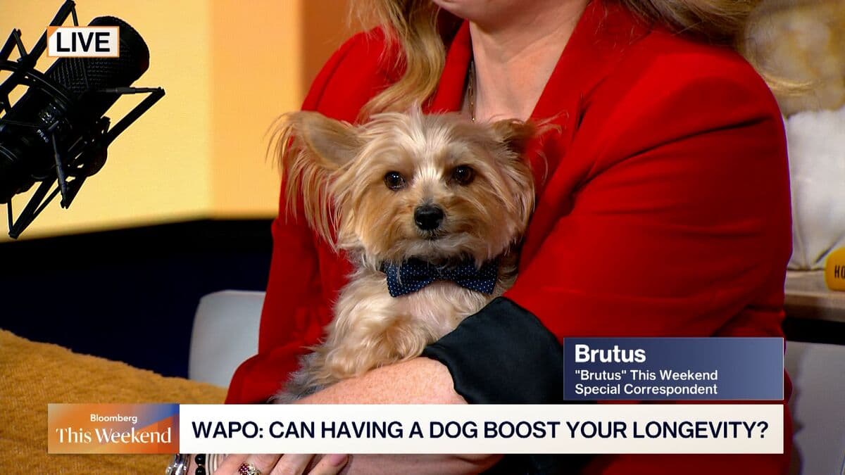 This Weekend's Headlines: School Buses, Tipping, and Dog Companions