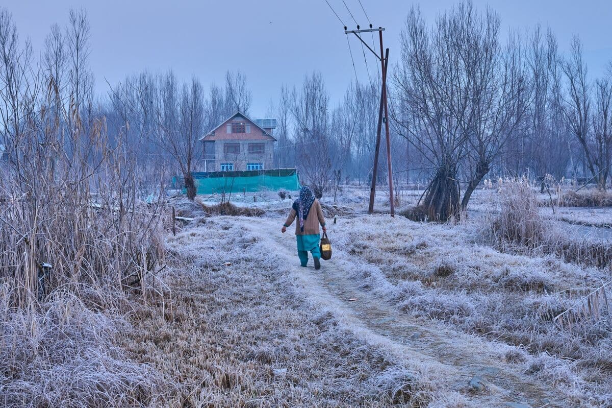 Frigid Weather Drives India’s Power Demand to Year’s Maximum