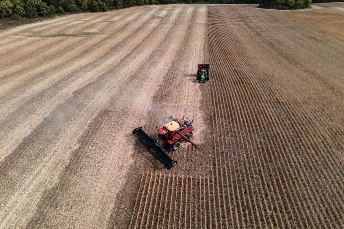 Soybean Oil Surges With US Biofuel Quotas Expected by March