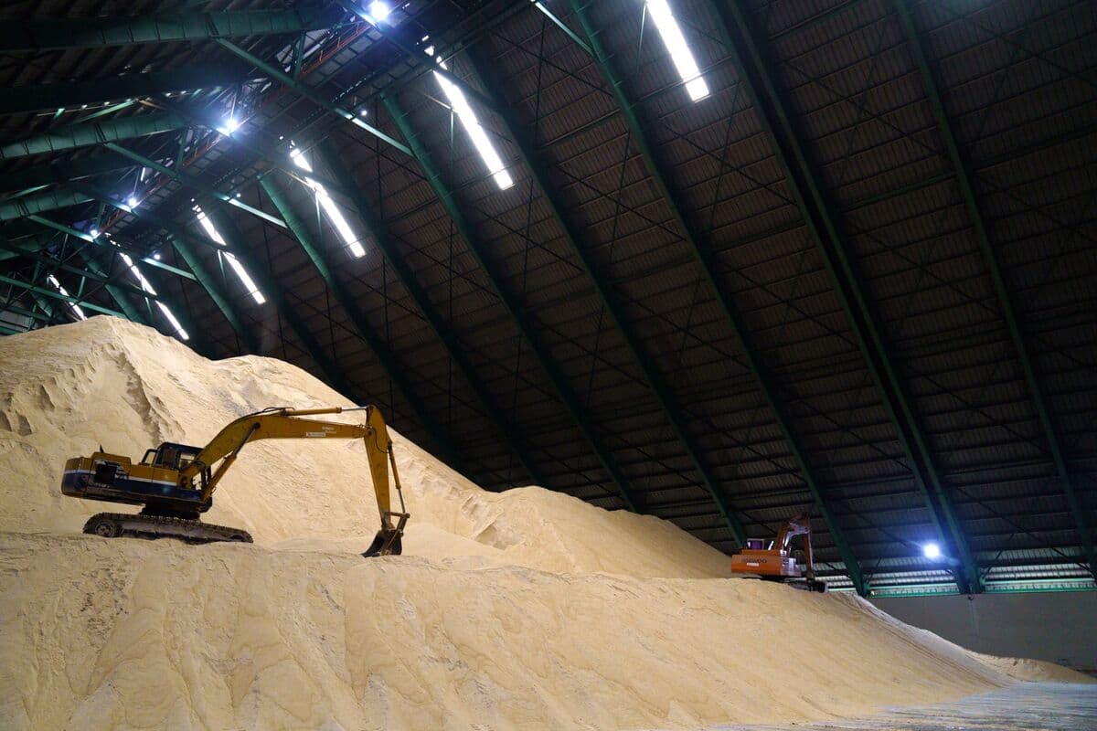 Sugar Hits One-Month High as Investors Unwind Short Positions