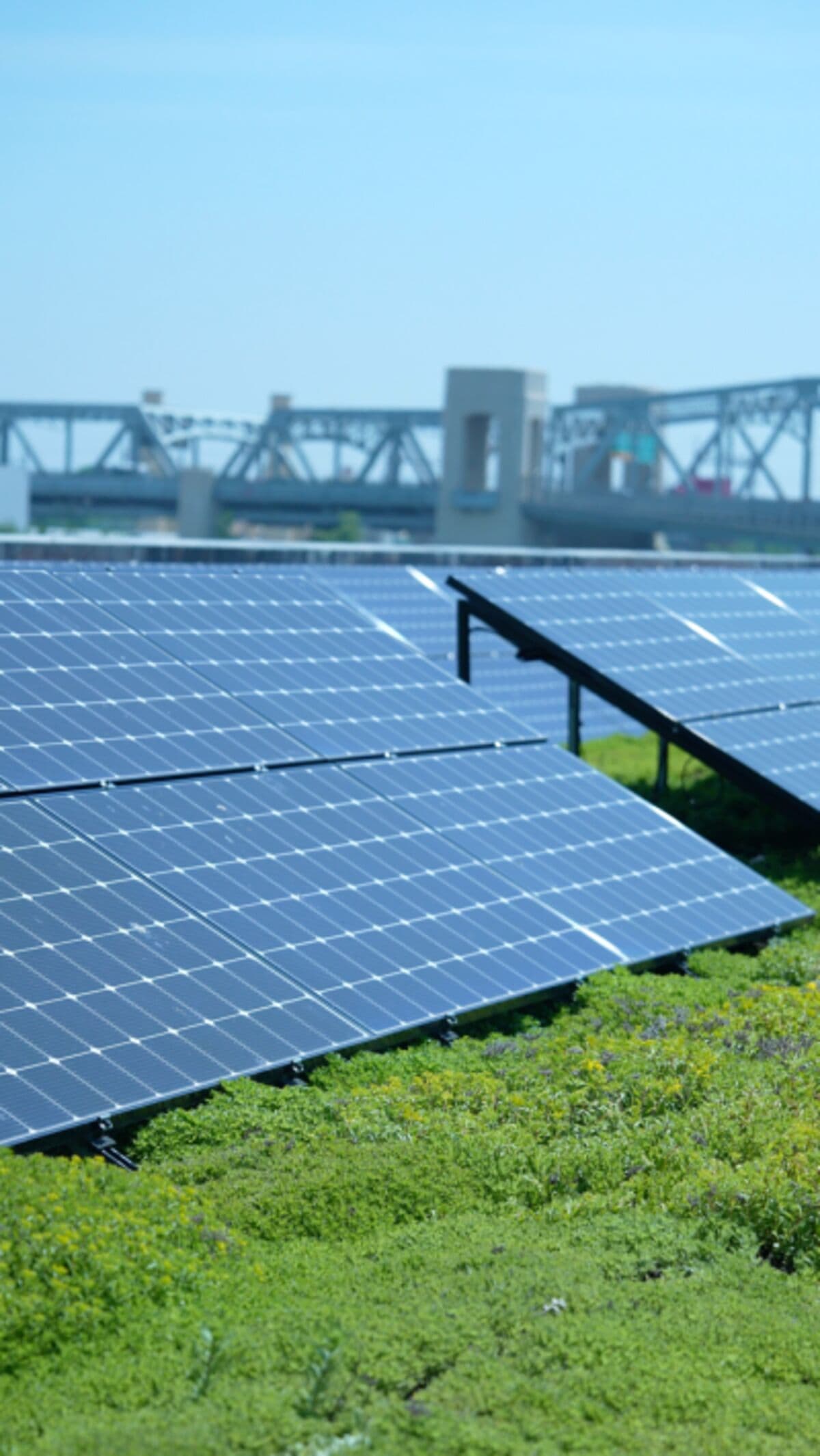 Common Misconceptions About Solar Panels Addressed