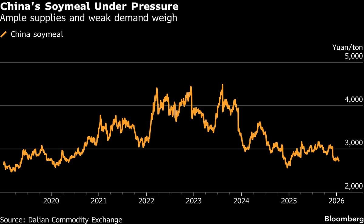 China Locks in Oilseed Abundance by Reviving Canadian Canola