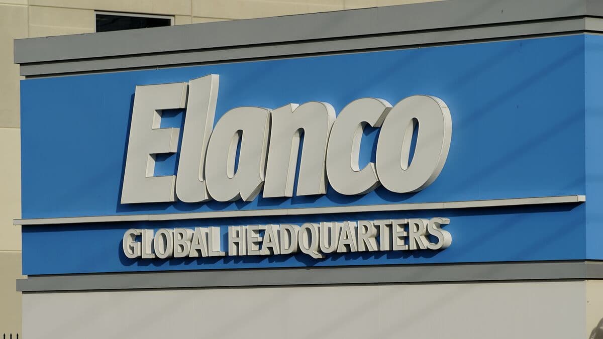 Elanco CEO: Gaining Market Share Via ‘Major' Innovations