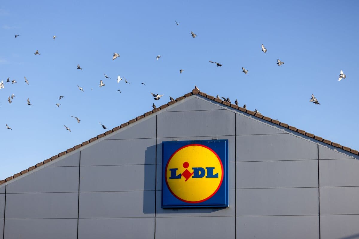 Amazon and Lidl to Sell Plug-In Solar in UK to Help Lower Bills