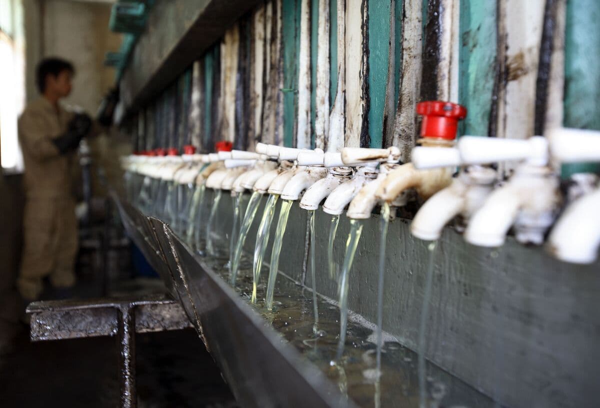 China’s Used Cooking Oil Ships to US as War Drives Biofuel Boom