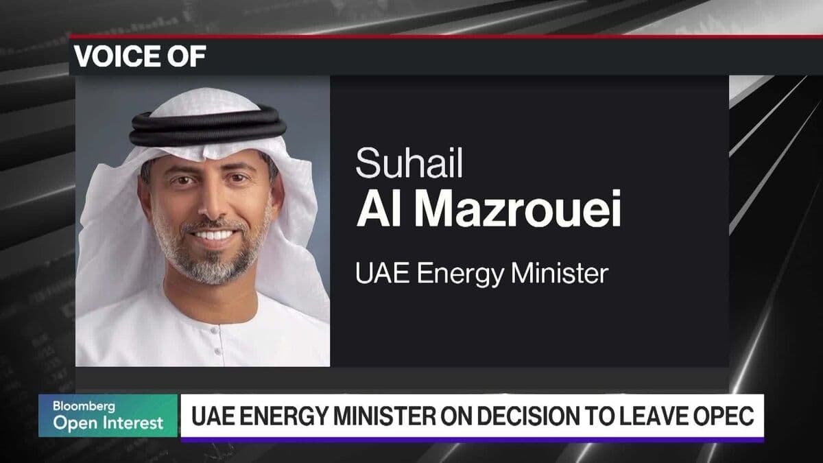 UAE Leaving OPEC at Right Time, Energy Minister Says