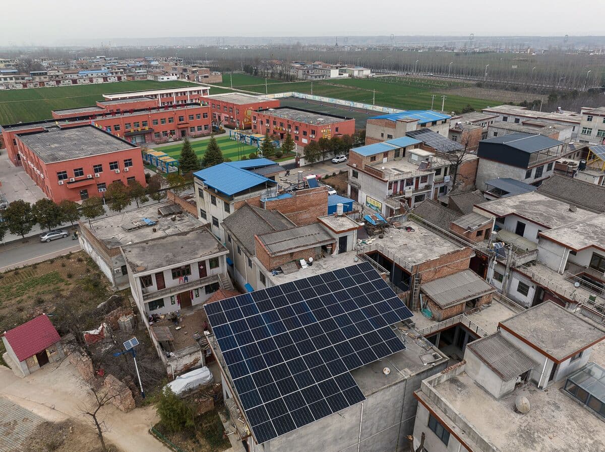 Solar Giant Longi Flags Another Full-Year Loss as Slump Persists