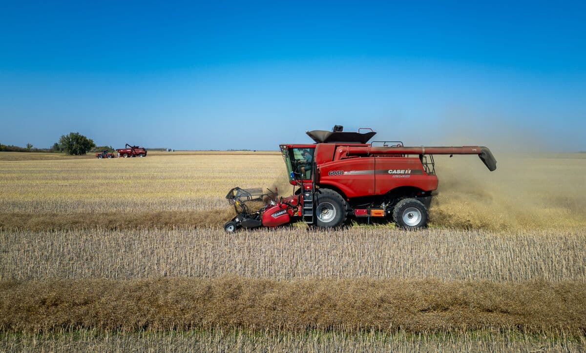 China to Offer Canola Relief for Easing EV Curbs During Carney Visit