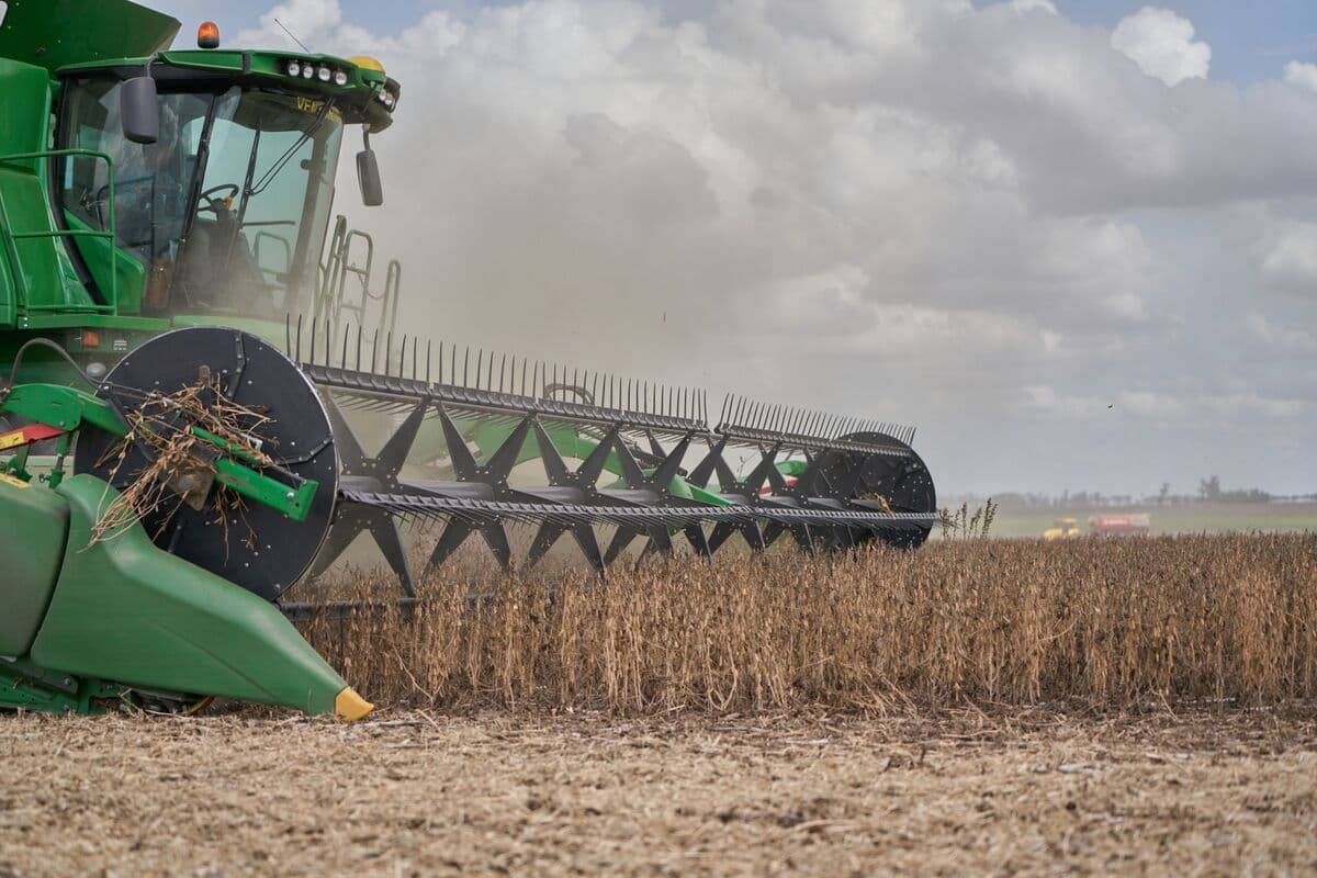 Argentina Fights to Save Huge Soy Exports After Dutch Rejections
