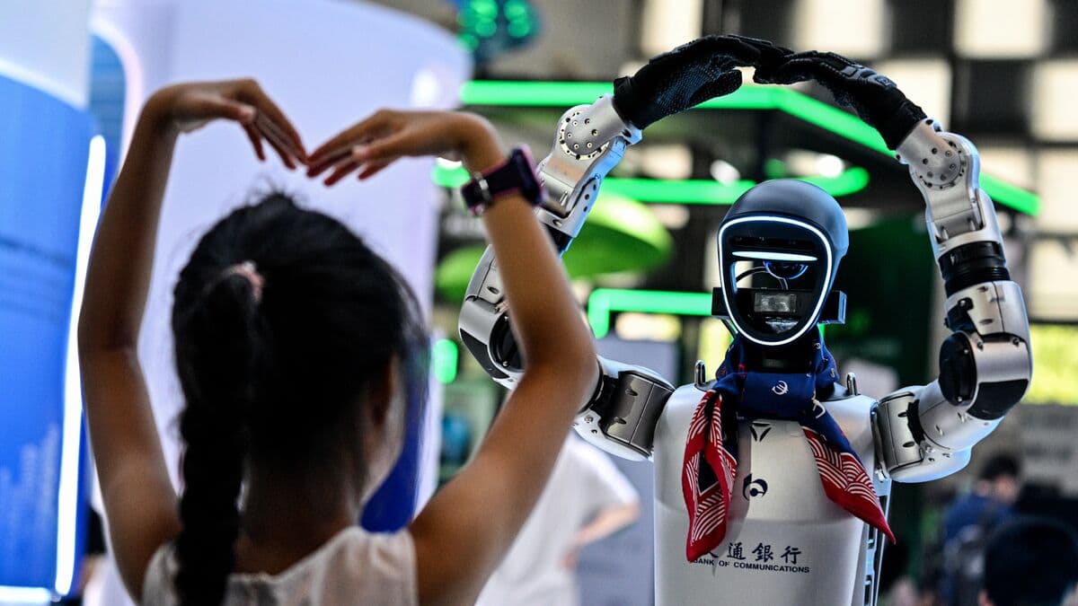 Demographic Changes Challenge the Potential of AI Solutions