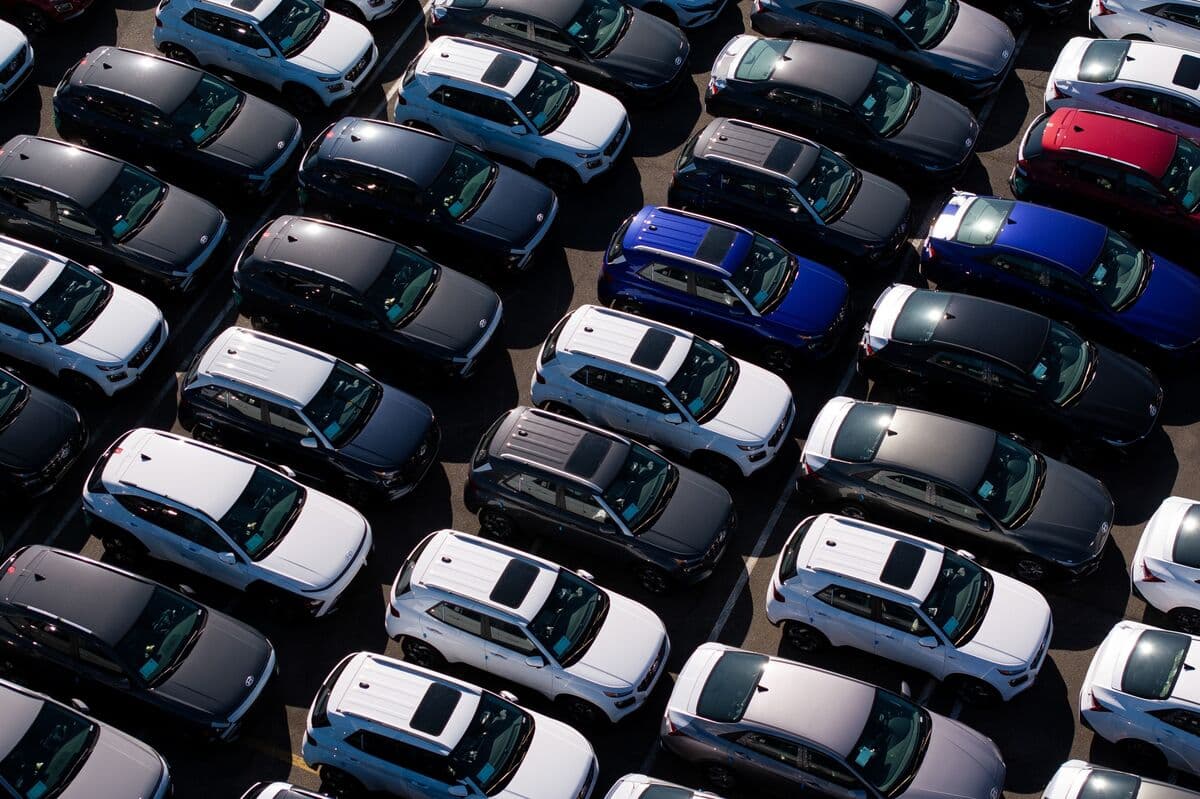 Americans Bear Almost All the Cost of Trump Tariffs, Study Shows