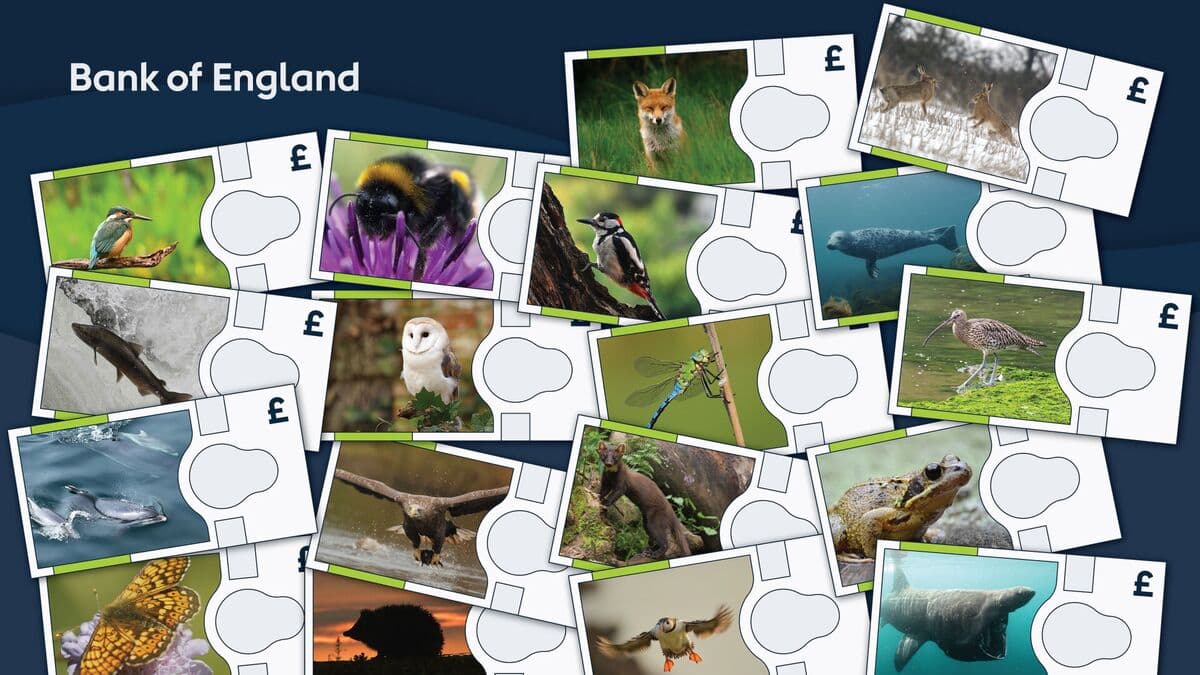 Wild Animals Selected to Replace Churchill on UK Banknotes
