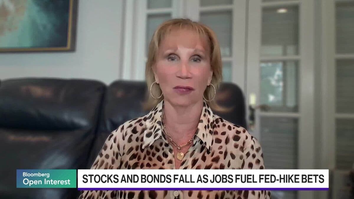Semiconductor Stocks Got 'Over Their Skis,' Strategist Bartels Says