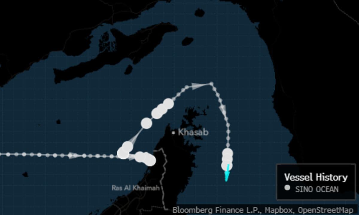 Second Bulk Carrier Claiming to Be Chinese Passes Through Hormuz