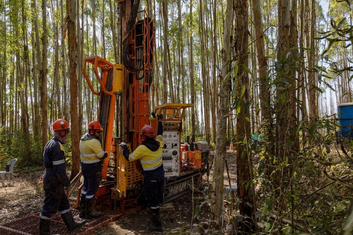 Rare-Earth Miner Meteoric Seeks Partnership for Brazil Project