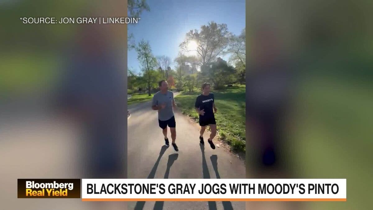 BDCs Have 'Taken a Licking, Keep on Ticking': Moody's