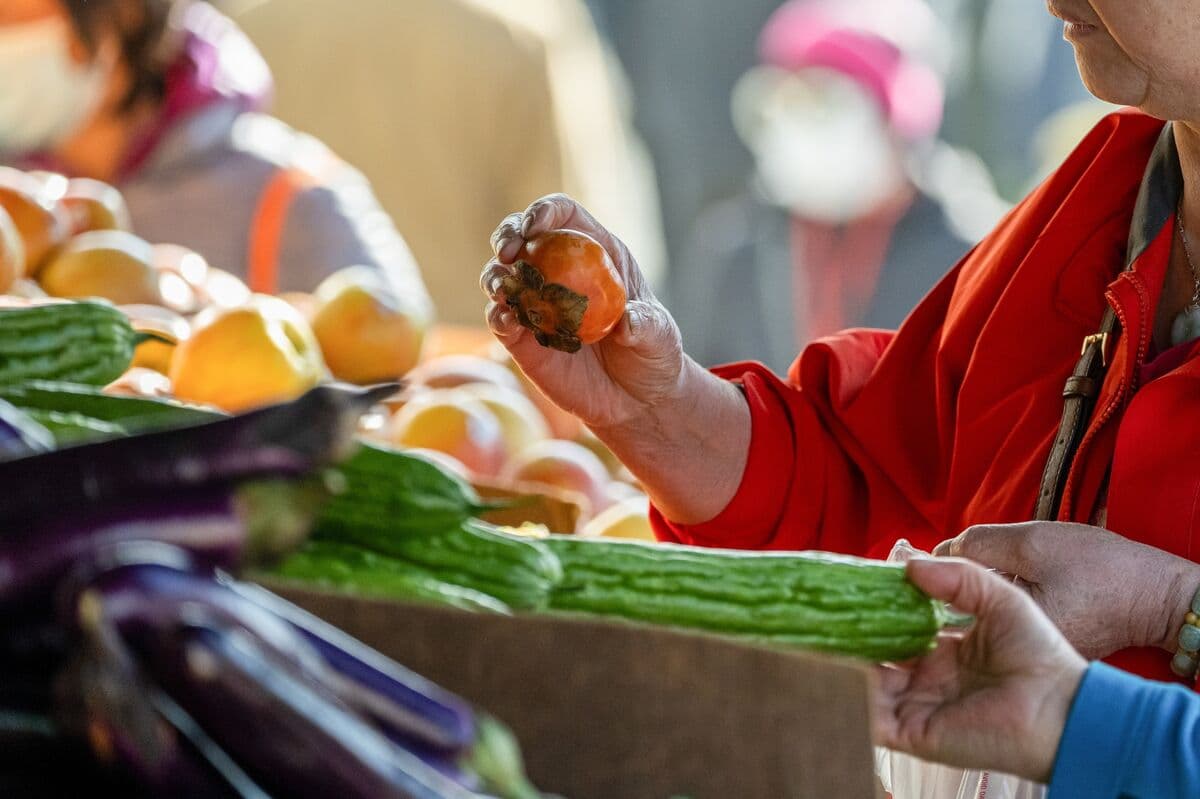 Inflation Numbers Are Looking Too Good to Trust