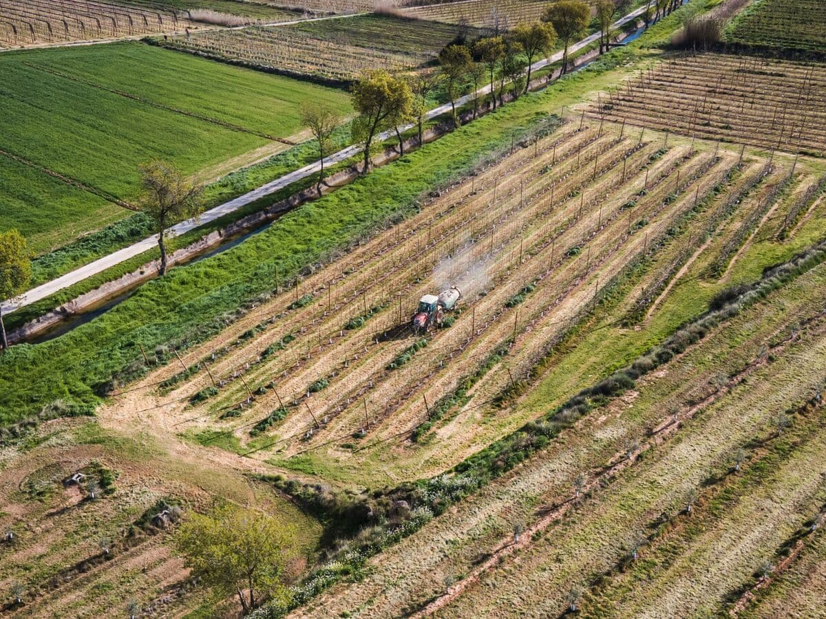 EU Considers Measures to Protect Farmers from Rising Fertilizer Costs