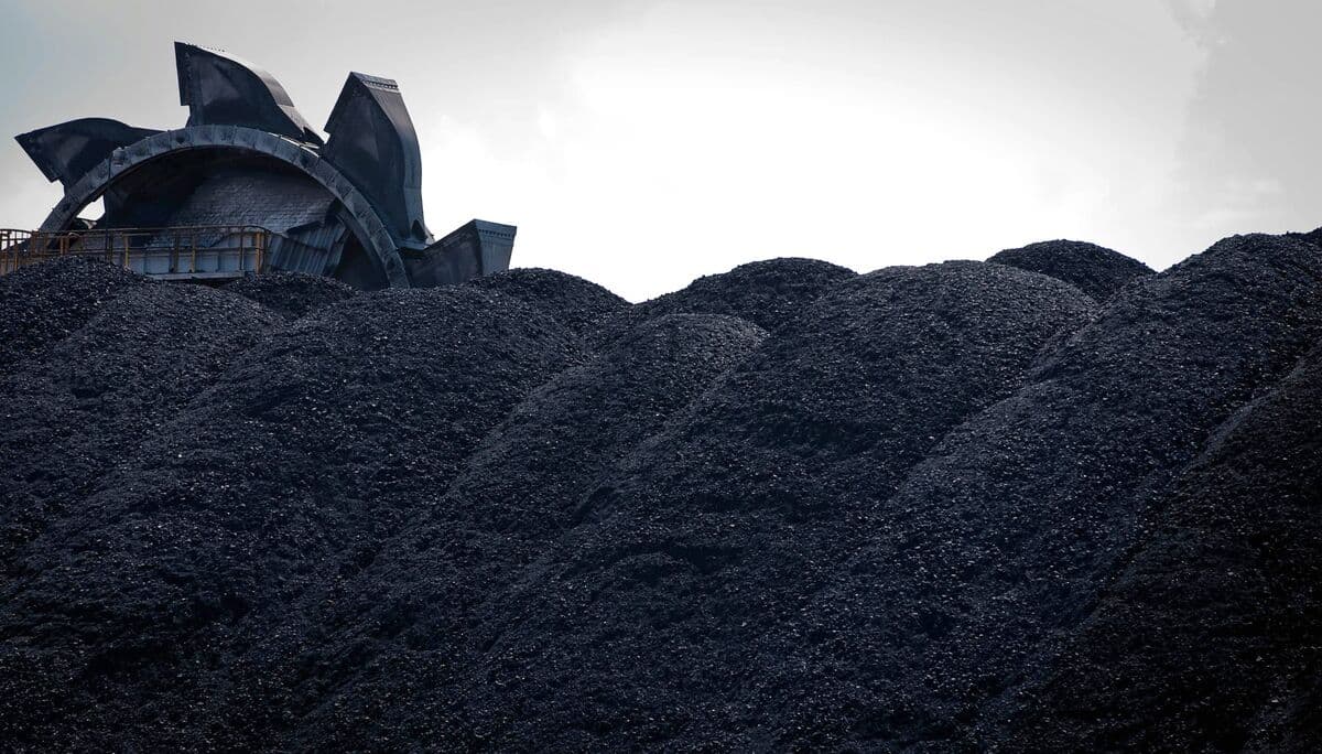 Recovery in Australia's Steel-Making Coal Output Faces Challenges, Report Indicates