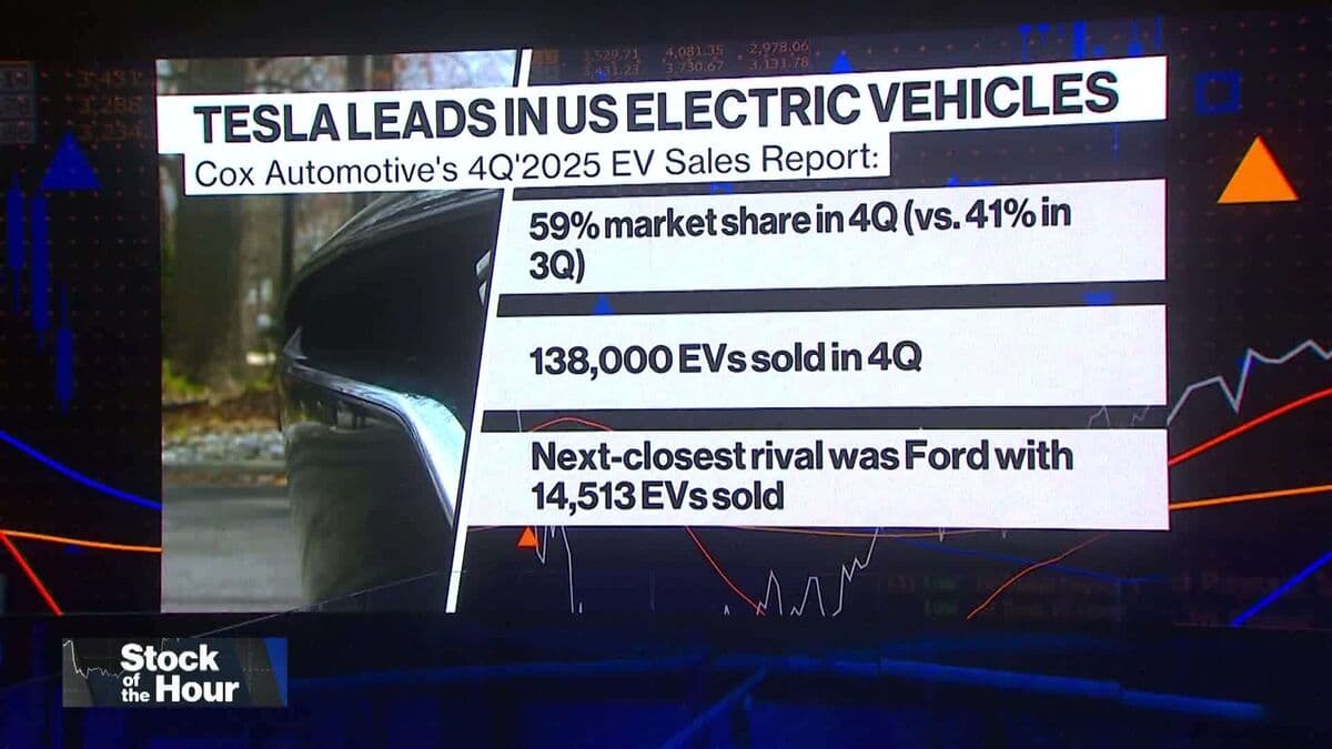 Expect Market Gains From EV New Entries: McNeill