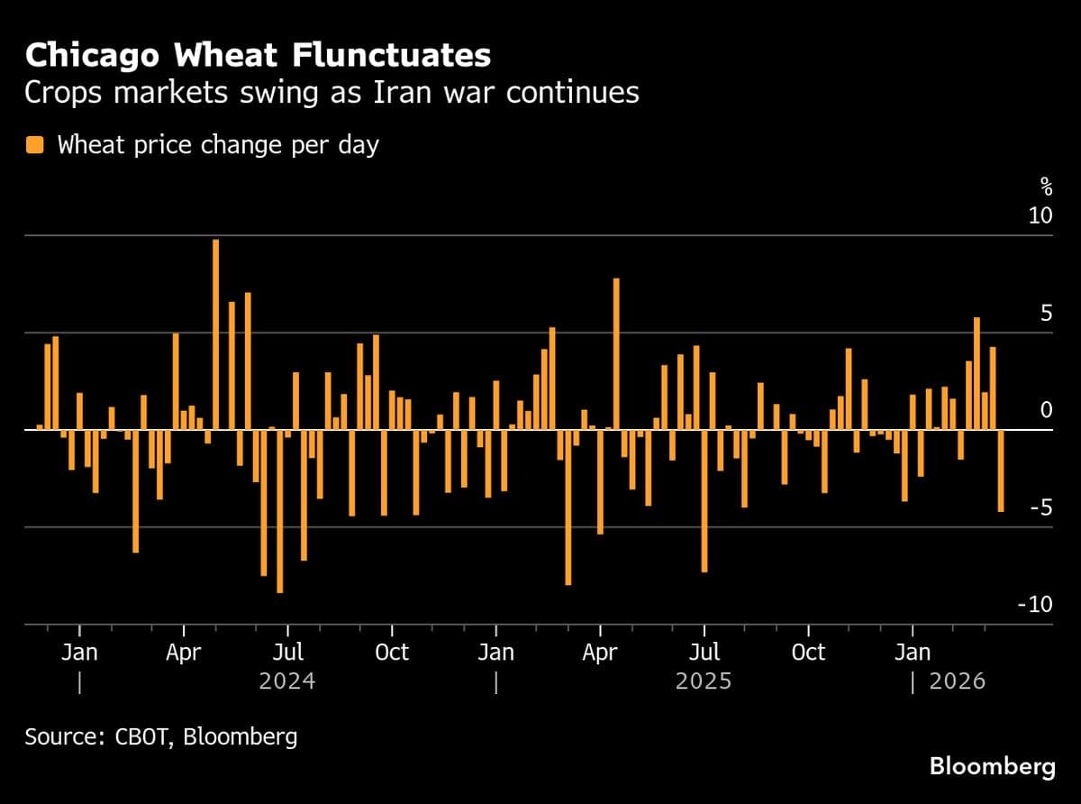 Crops Swing to Losses as Trump Signals Possible End to Iran War