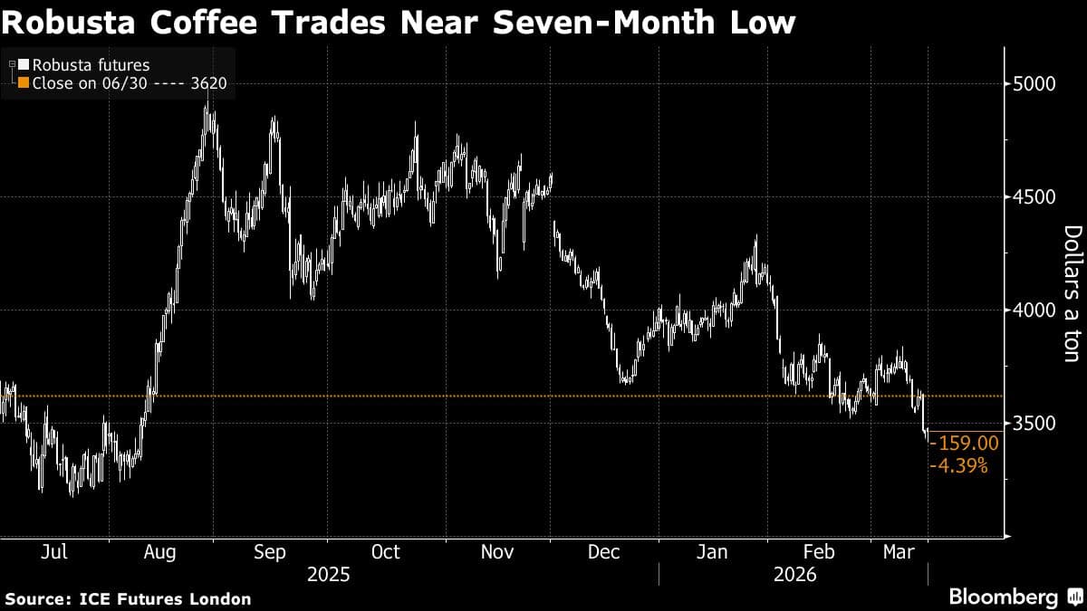 Robusta Coffee Near Seven-Month Low on Brazil Harvest Hopes