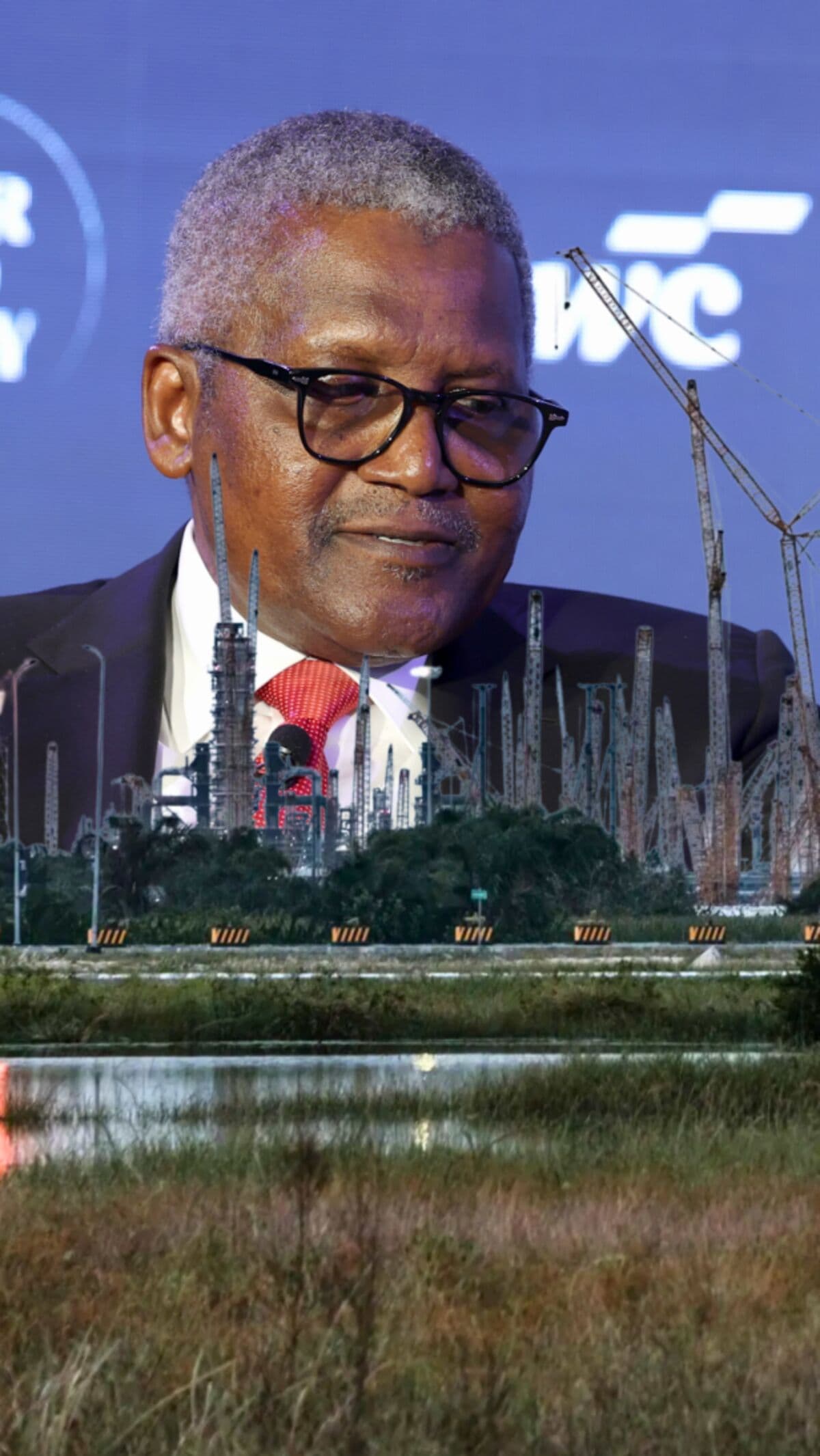 Dangote's $40 Billion IPO Triggers Investor Excitement in Nigeria