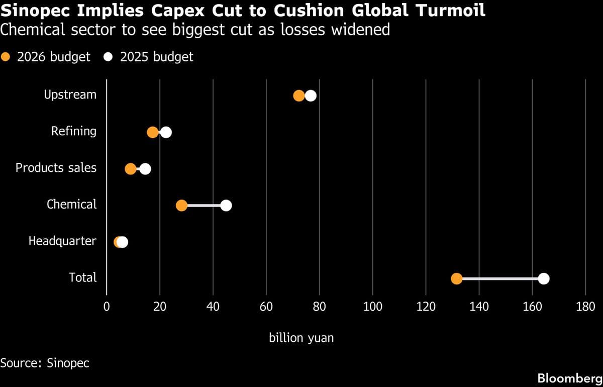 Sinopec Flags Chemicals Spending Cut as Profit Pressure Mounts