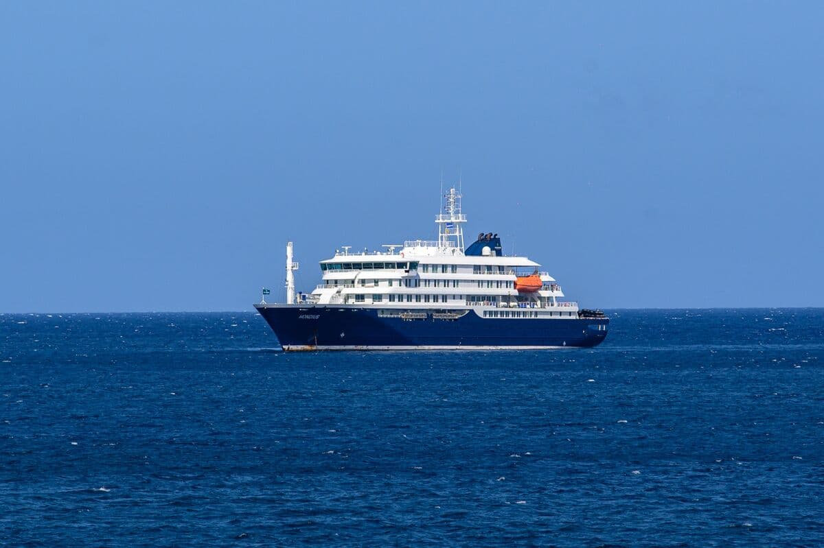 What Is Hantavirus and How Did It Kill Cruise Ship Passengers?