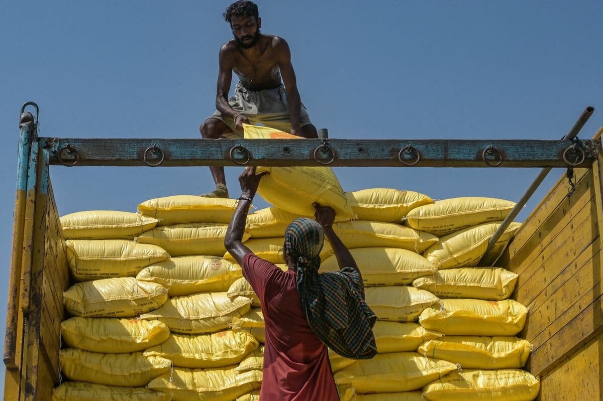 India Secures Phosphate Fertilizer at 40% Higher Prices Amid Supply Disruptions
