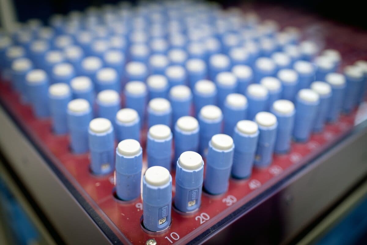 Generic Ozempic Could Cost Less Than $3 a Month, Study Shows