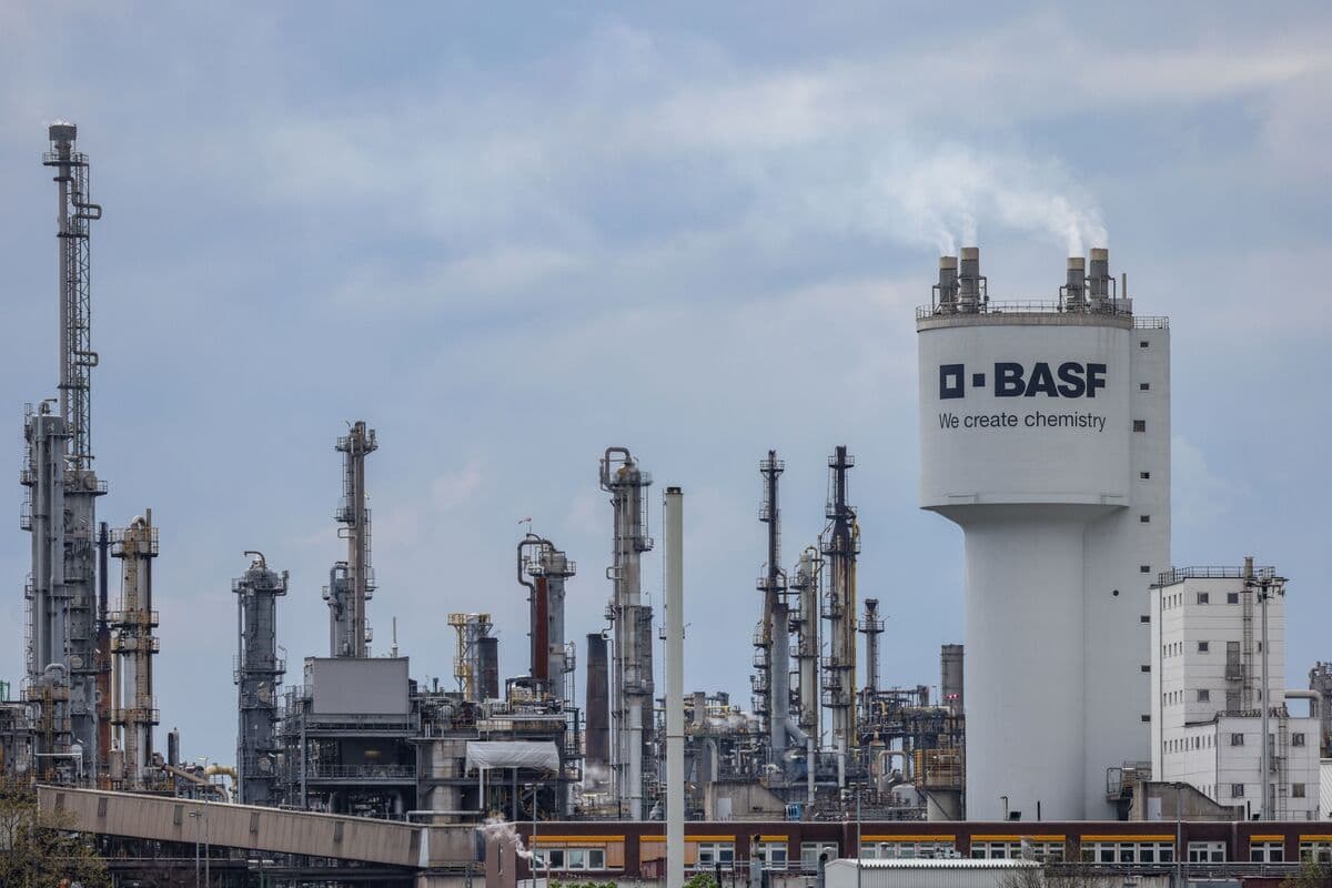 Banks Launch $2 Billion BASF Coatings Loan Sale for Buyout
