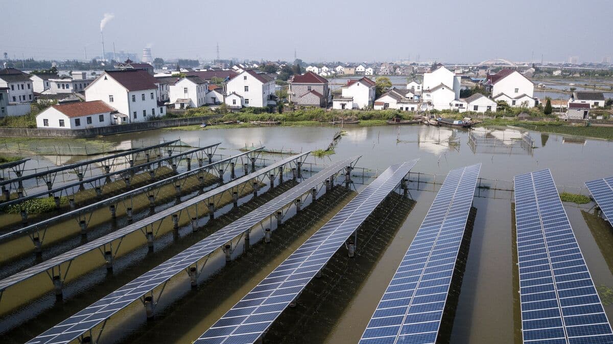 China's Green Technology Exports Increase Amid Global Energy Transition