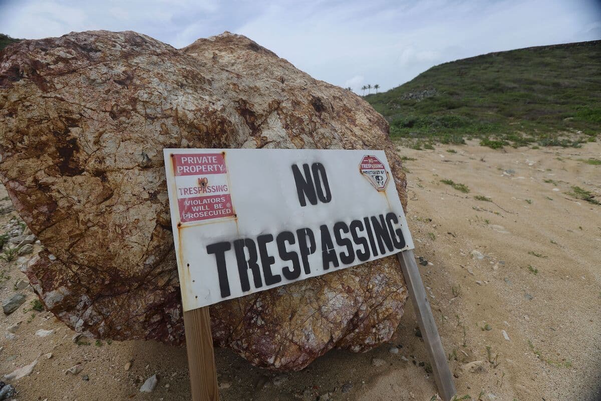 Billionaire Owner of Epstein's Island Faces Challenges from Intrusive Visitors