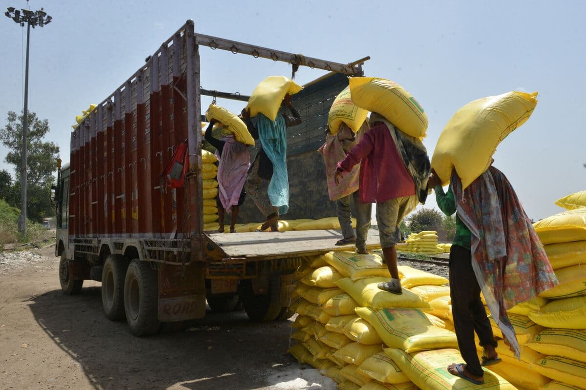 India Seeks Global Bids for 1.7 Million Tons of Urea Fertilizer Before Monsoon