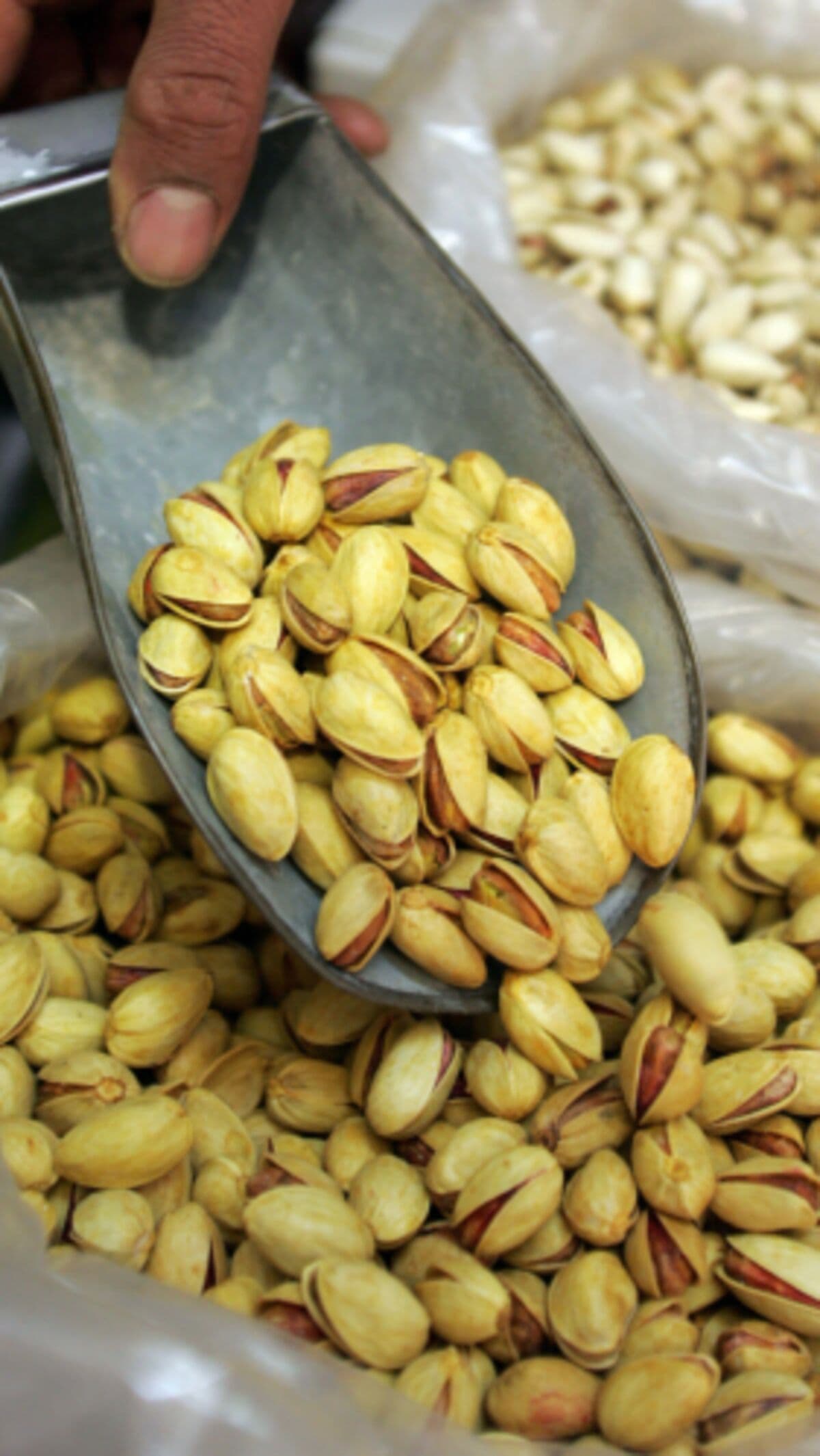 How Iran Lost the Pistachio Wars