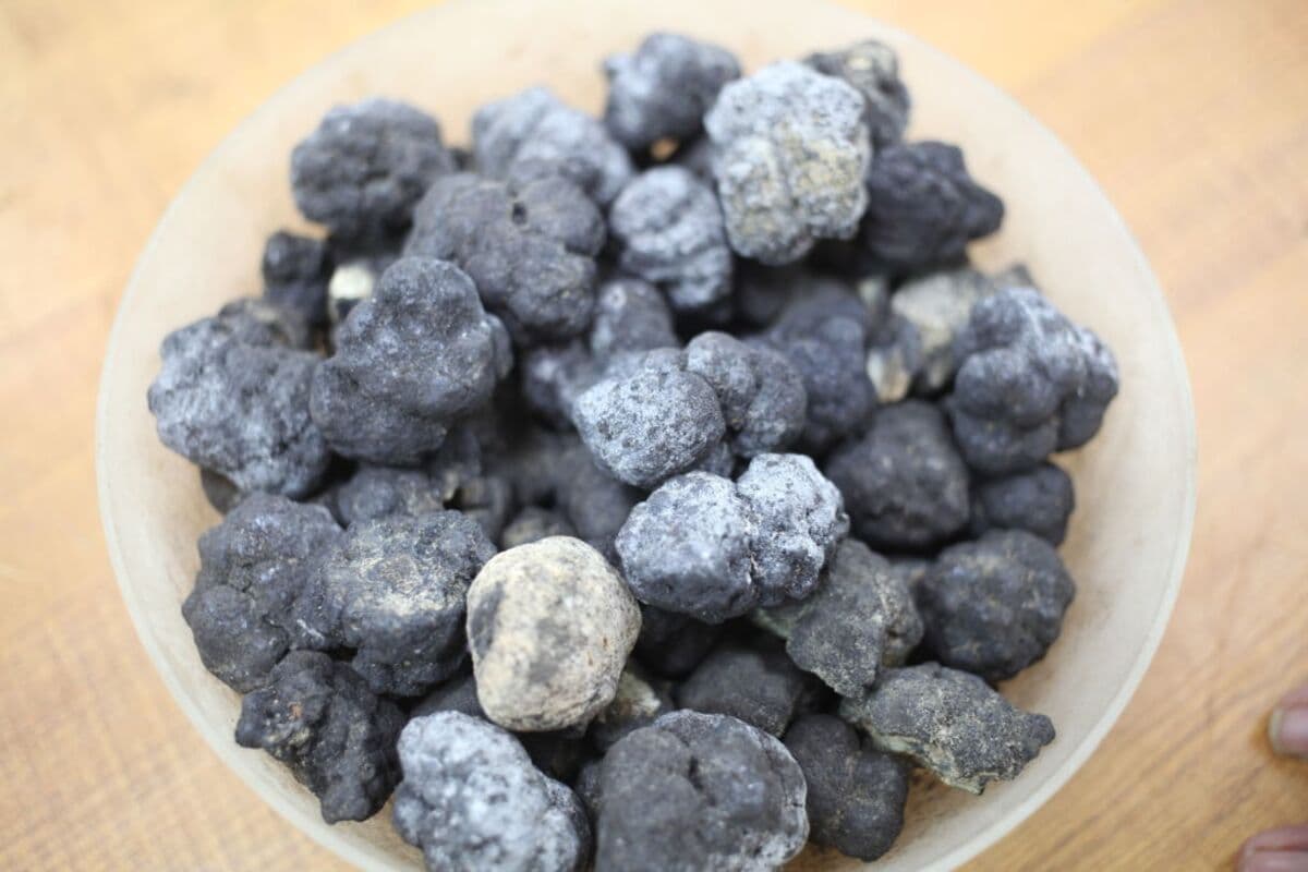 American Ocean Minerals Said to Reach $1 Billion Odyssey Merger