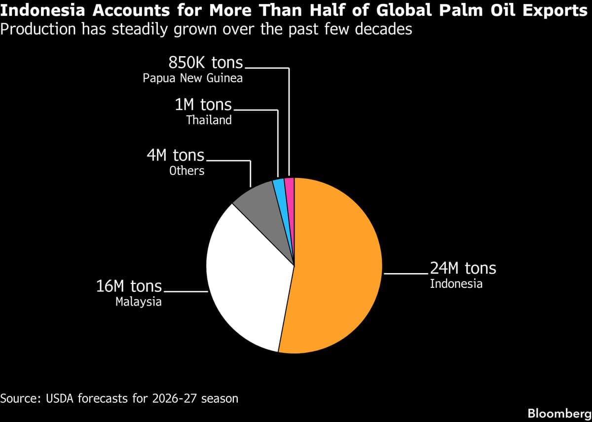 Indonesia Implements Controversial Export Regulations Amid Uncertainty