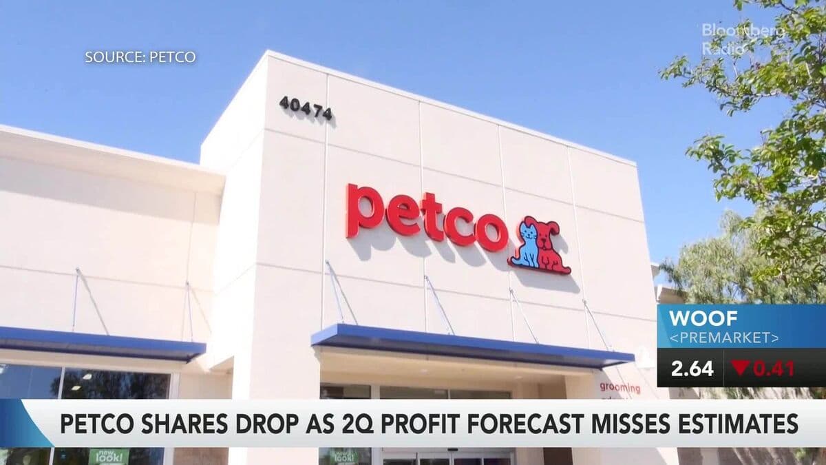 Petco Shares Fall on Lower Ebitda Forecast; Five Below Declines Amid Growth Concerns
