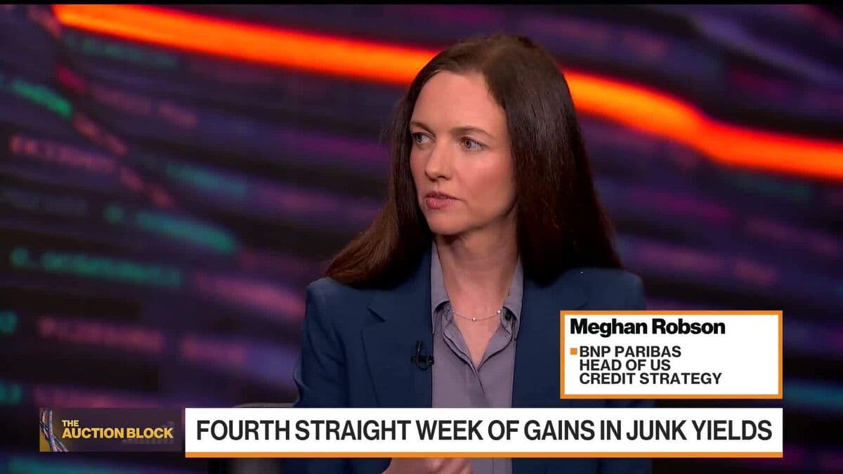 Need More Data on Private Credit Fundamentals: Meghan Robson