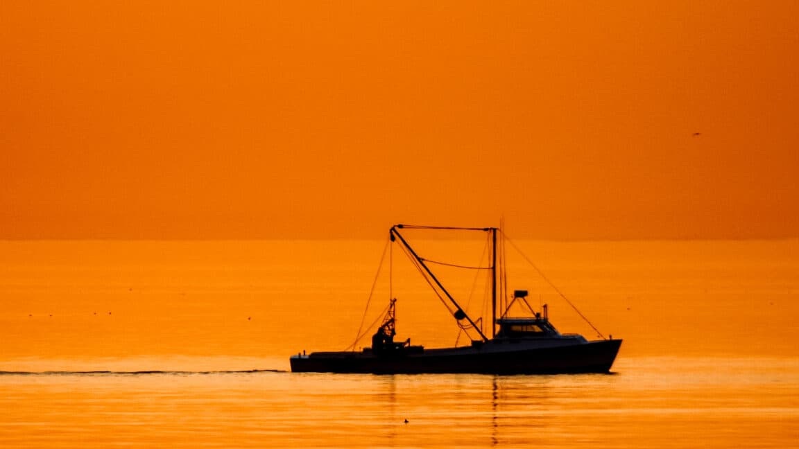 Fishing crews in the Atlantic keep accidentally dredging up chemical weapons