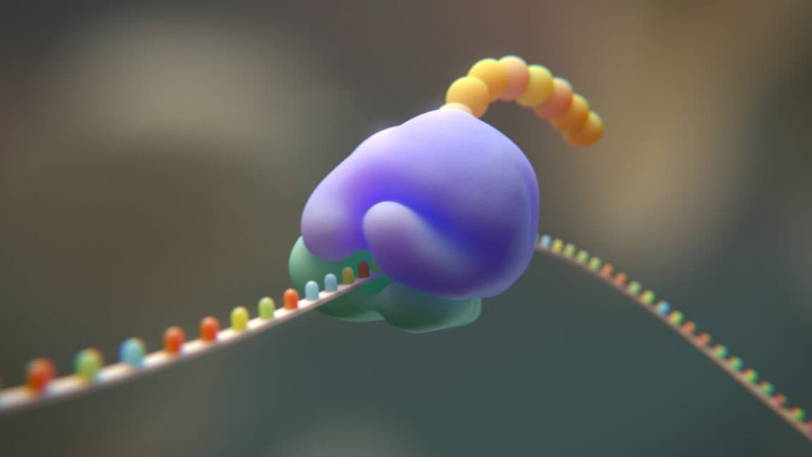 Researchers try to cut the genetic code from 20 to 19 amino acids