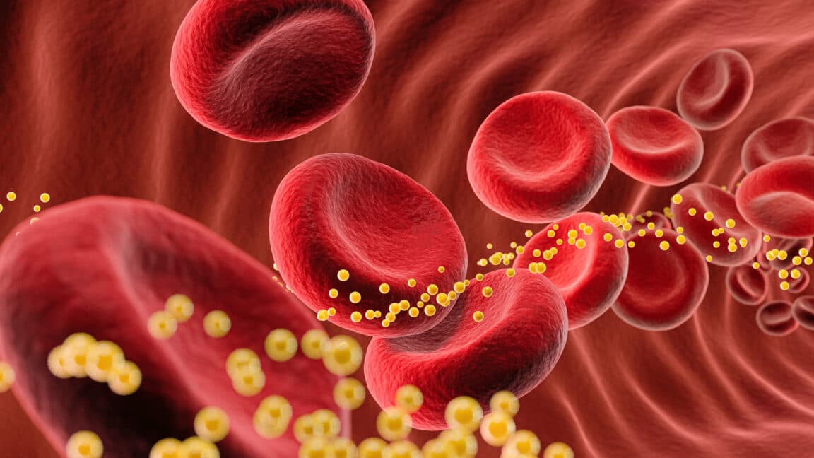 Gene-editing drug reduces bad cholesterol by 62% in small trial