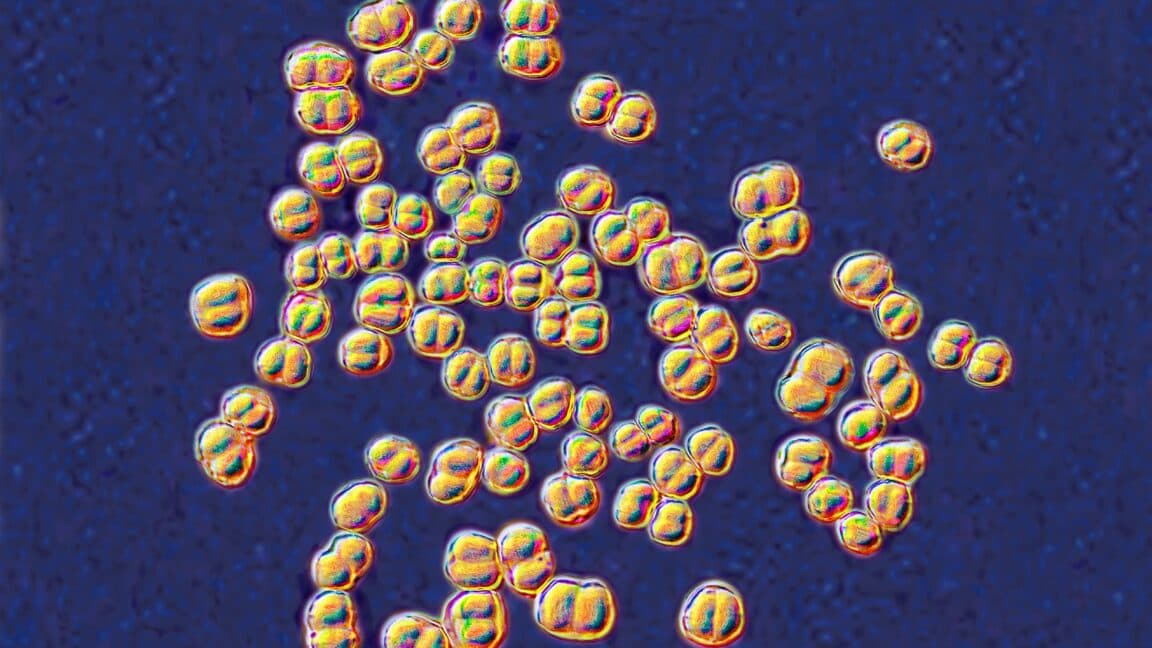 College Lab Class Results in 32 Students Prescribed Antibiotics After Germ Exposure