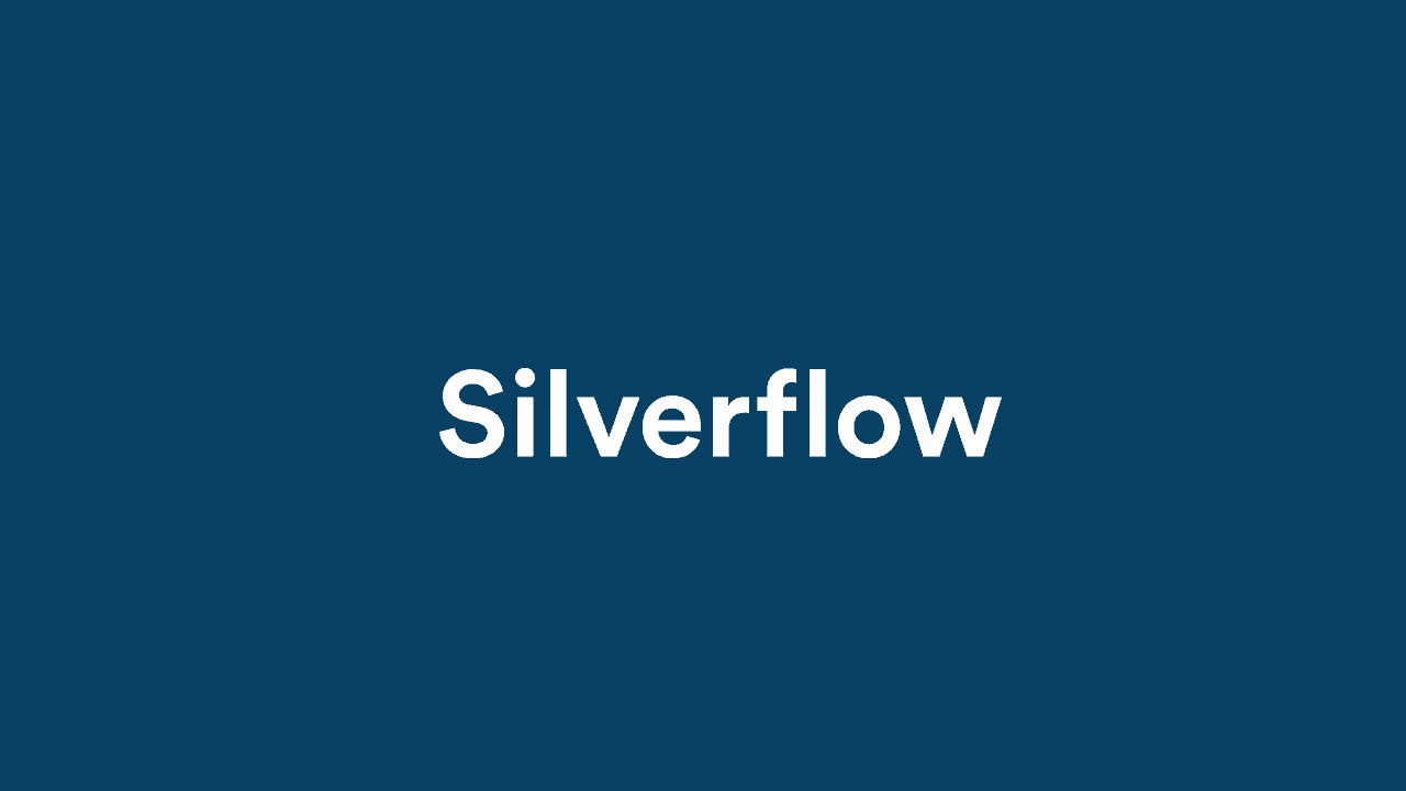 Fintech girişimi Silverflow, 40 milyon dolar yatırım aldı